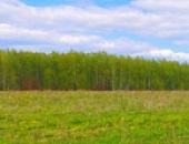 Подготовка загородного участка к строительству дома